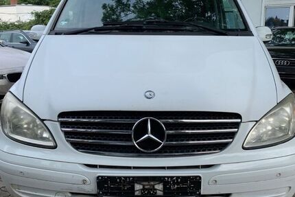 Mercedes Viano