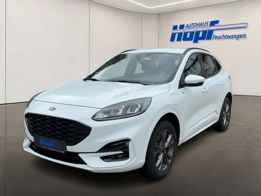 Kuga