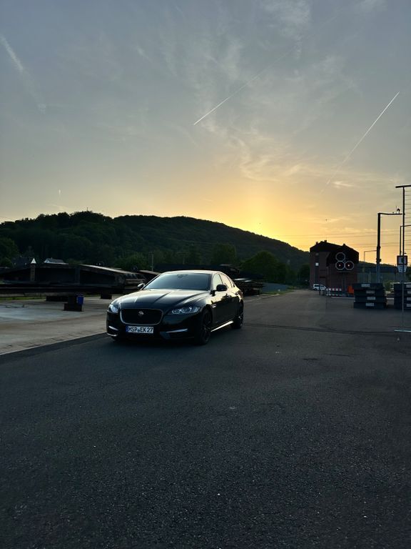XF