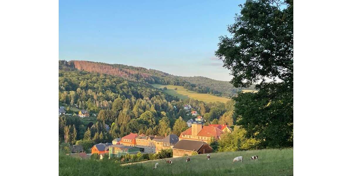 Gewerbeobjekt Sebnitz - 240.000&euro; | Angebot:26994140