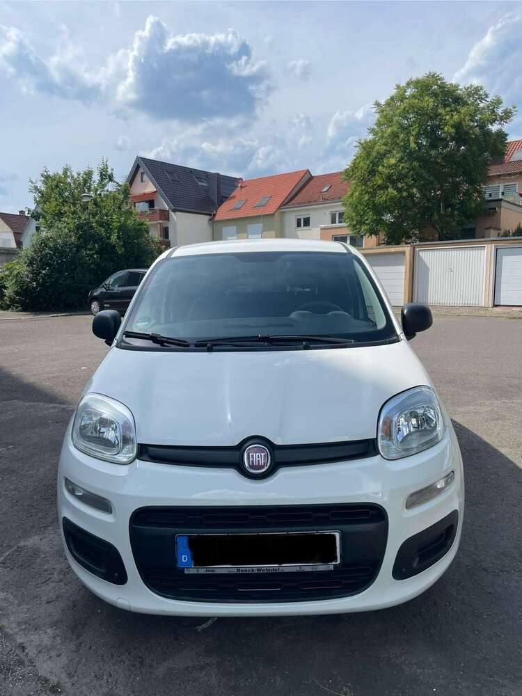 Panda