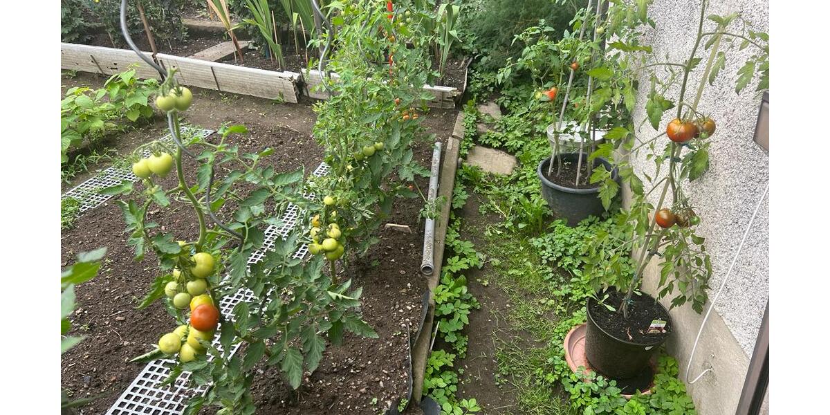 ***Vier rechte Hände gesucht - mit Muskelkraft und Geschick ins Eigenheim*** zimmer