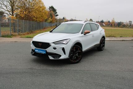 Cupra Formentor 133.950 km 21.450 &euro; Fürth 90763
