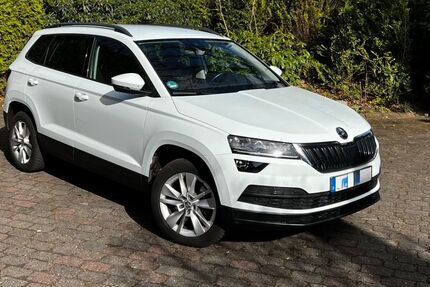 Skoda Karoq 223.000 km 11.500 &euro; Groß Niendorf 23816