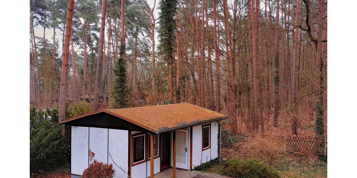 Kein Neubaugebiet. Kein Durchgangsverkehr. - Grundstück Grünheide (Mark) | Angebot:24619063