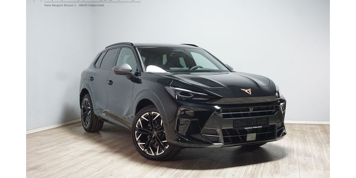 Cupra Terramar 10.186 km 38.990 &euro; Halberstadt 38820
