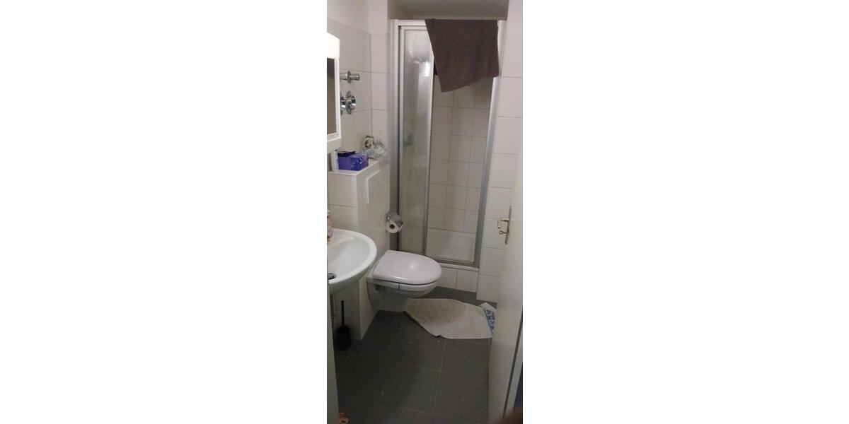 Dachgeschoßwohnung Gießen Schlangenzahl - 1 Zimmer, 18 m&sup2;, 415&euro; | Angebot:25371087