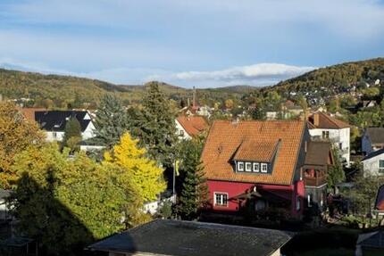 Kernsanierte 5-Zimmer-Wohnung in Hann. Münden zimmer