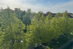 Dachgeschoßwohnung Braunschweig Lehndorf-Watenbüttel - 2 Zimmer, 24 m&sup2;, 330&euro; | Angebot:26441404
