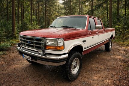 Ford F 350 360.000 km 22.000 &euro; Steigra 06268