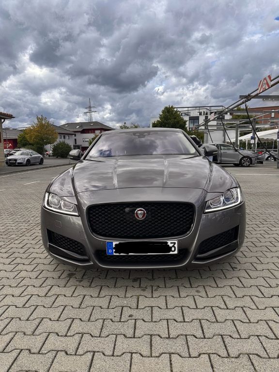 XF
