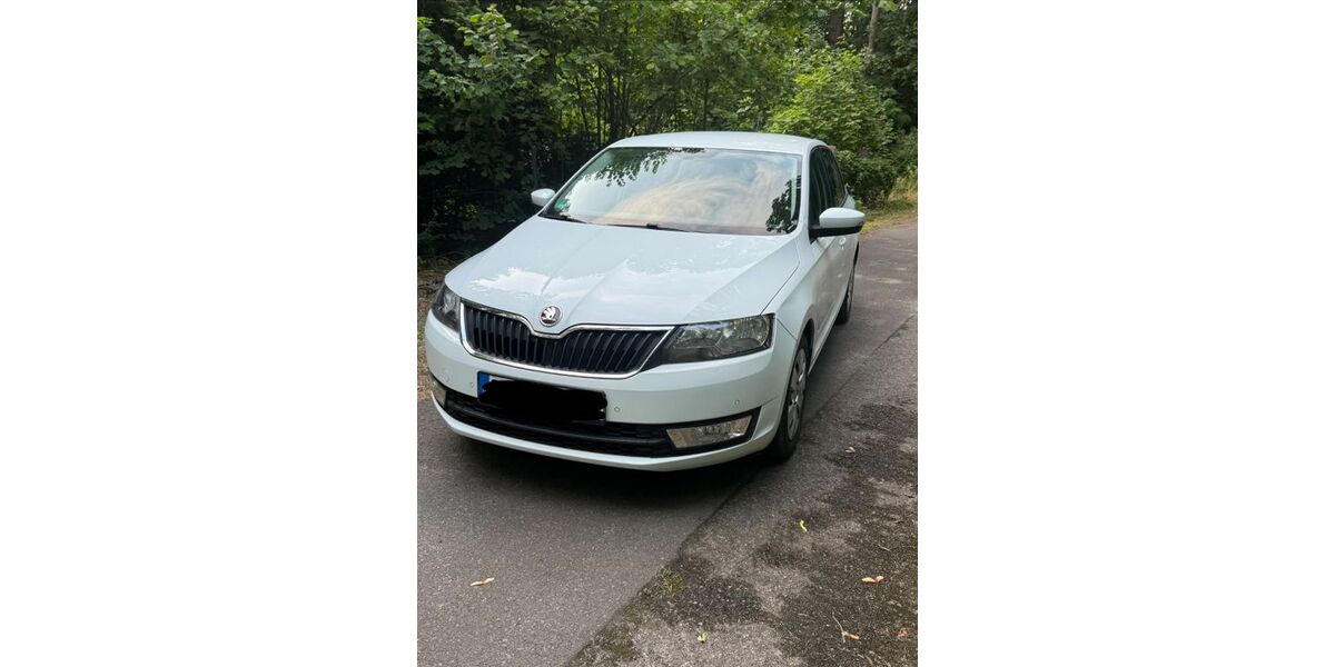 Skoda Rapid 128.000 km 9.000 &euro; Peitz 03185