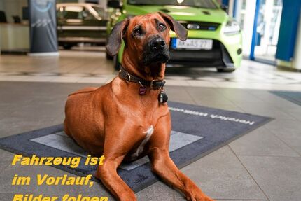 VW T-Cross 15.563 km 21.990 &euro; Oberlahr 57641