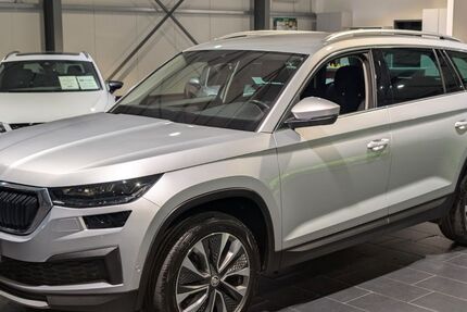 Skoda Kodiaq 80.000 km 31.900 &euro; Weinheim 69469