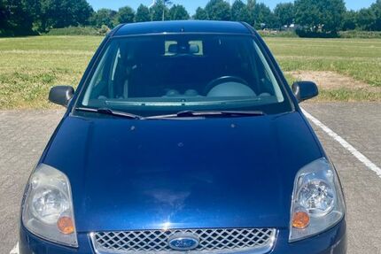 Ford Fiesta 234.650 km 1.560 &euro; Wellsee 24145