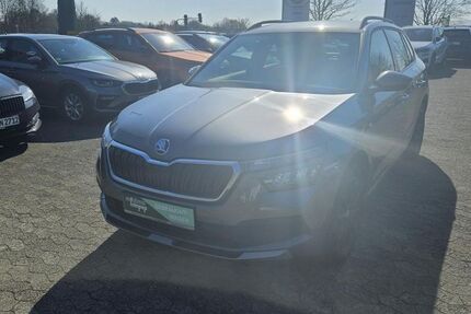 Skoda Kamiq 80.466 km 21.380 &euro; Lüdenscheid 58513