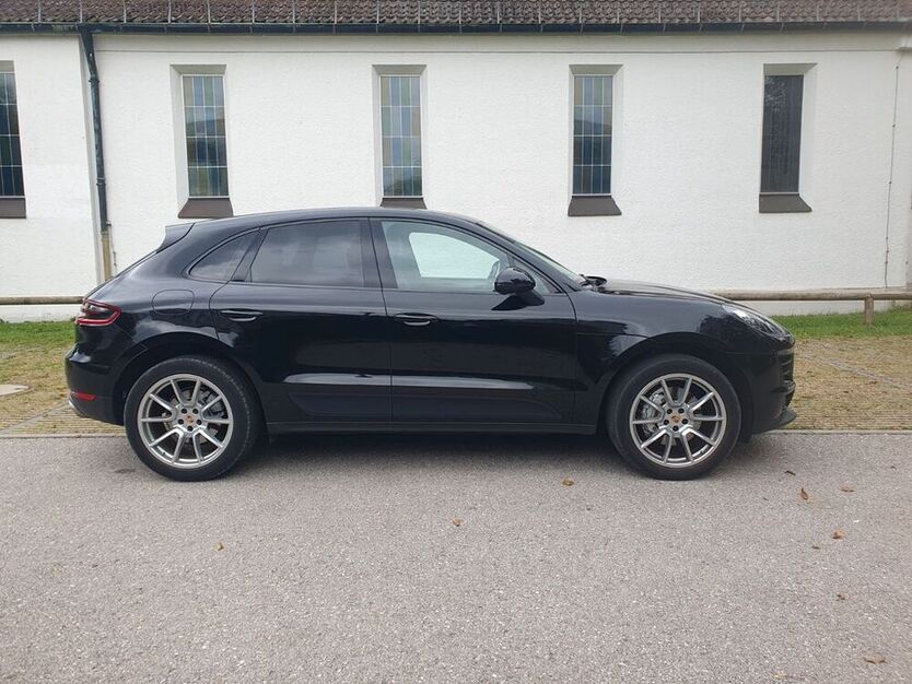 Macan