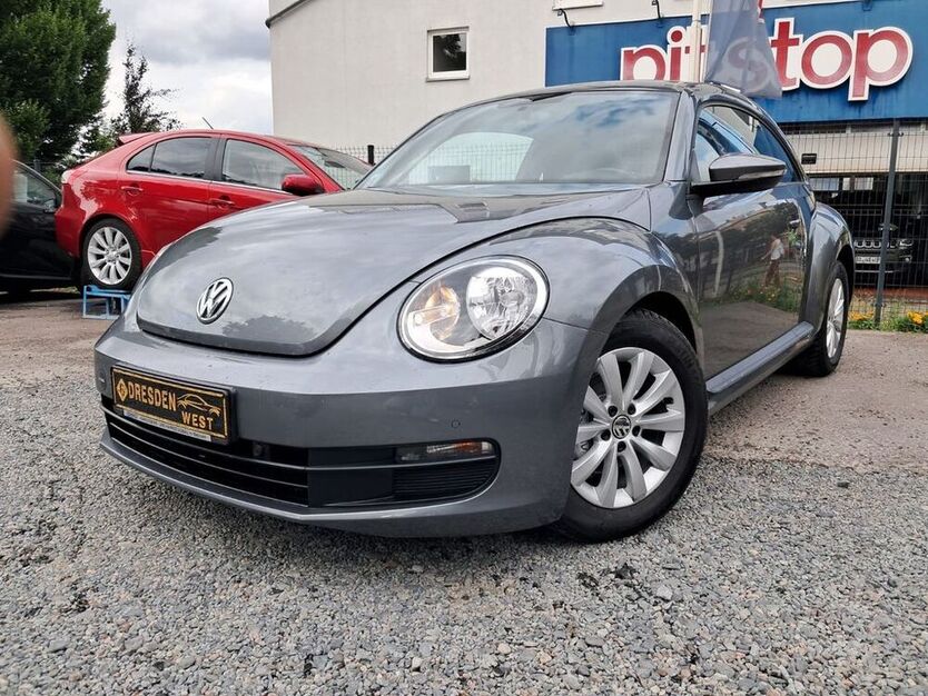 Beetle