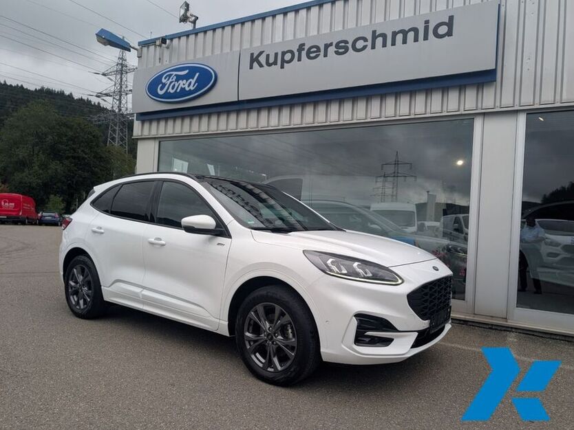 Kuga