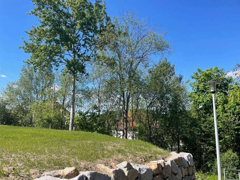 Grundstück zu verkaufen in Zwickau 100.000 € 541 m² zimmer