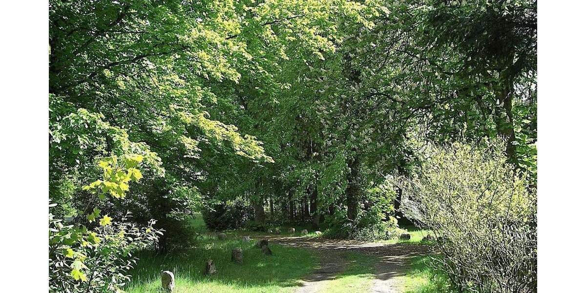 Etagenwohnung Schneverdingen Wintermoor an der Chaussee - 2 Zimmer, 82 m&sup2;, 820&euro; | Angebot:24835487