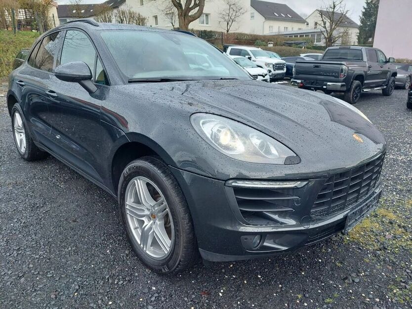 Macan