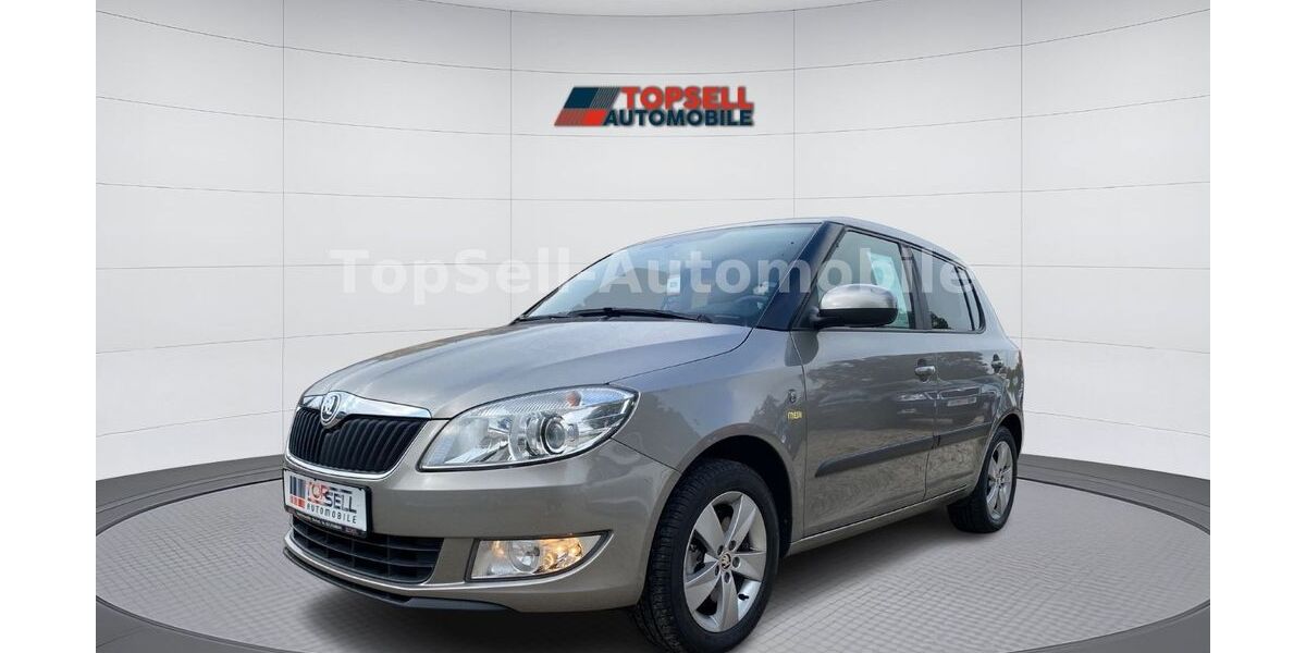 Skoda Fabia 144.669 km 5.950 € Chemnitz 09120