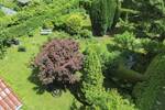 Einfamilienhaus Hagenow - 2 Zimmer, 85.000&euro; | Angebot:26879619