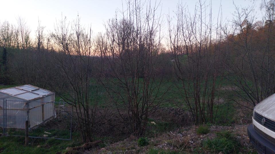 Mehrfamilienhaus, Wohnhaus München Moosach - 8 Zimmer, 343 m&sup2;, 900.000&euro; | Angebot:26346342