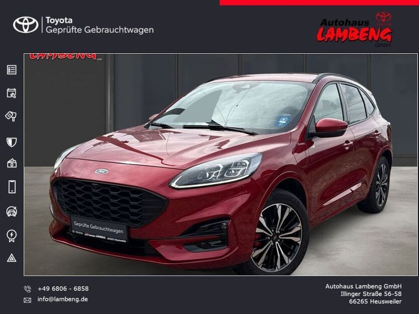 Kuga