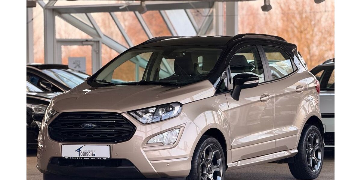 Ford EcoSport 93.796 km 12.840 &euro; Salzgitter 38228