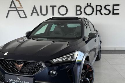 Cupra Formentor 88.170 km 24.890 &euro; Braunschweig 38114