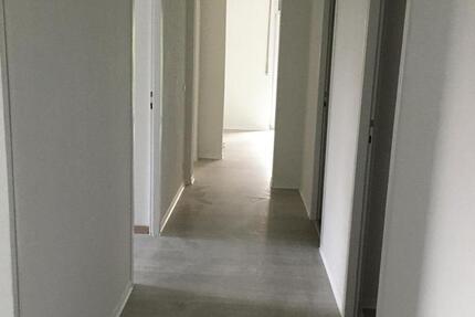 3 Zimmer Wohnung 3 zimmer