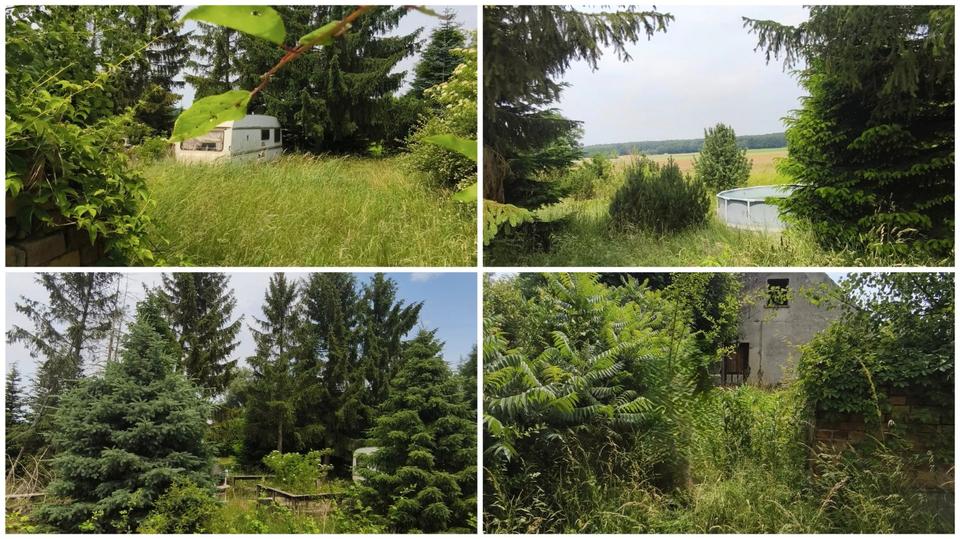 Einfamilienhaus Bad Schmiedeberg - 89.950&euro; | Angebot:27134646