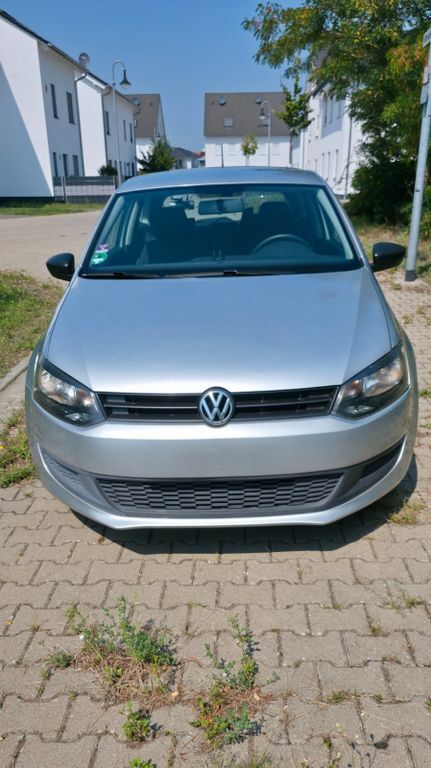 Polo