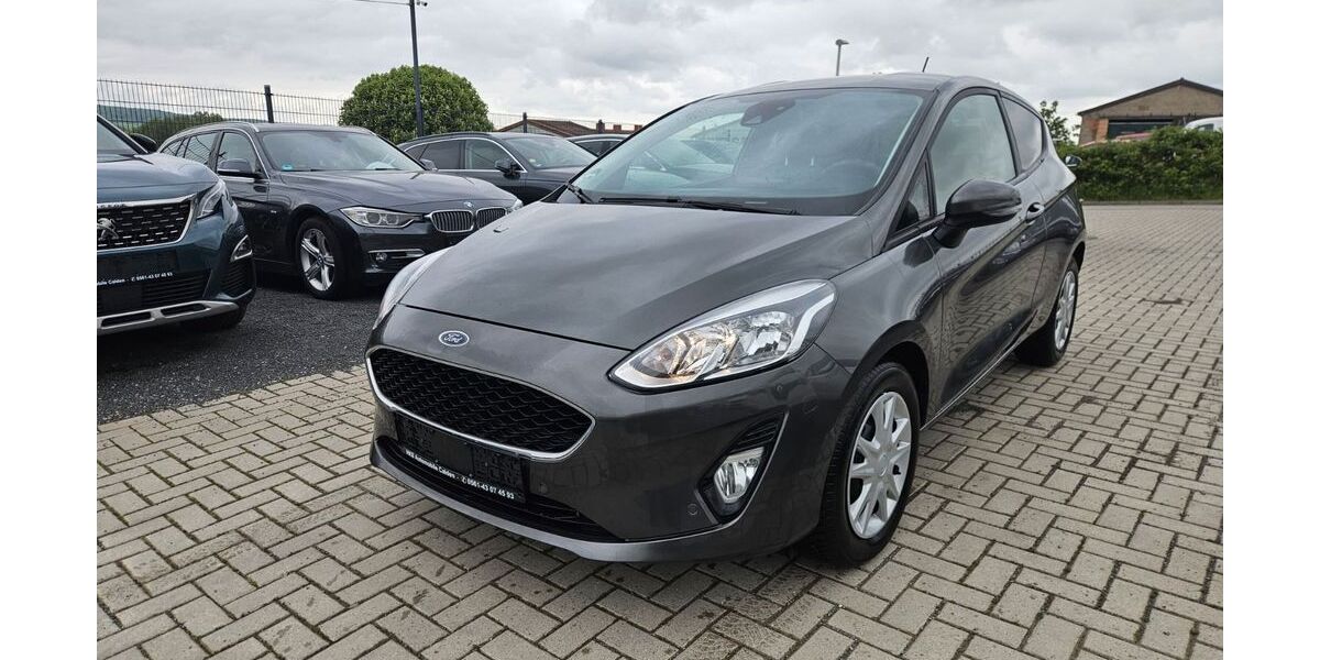 Ford Fiesta 75.046 km 7.950 &euro; Calden 34379