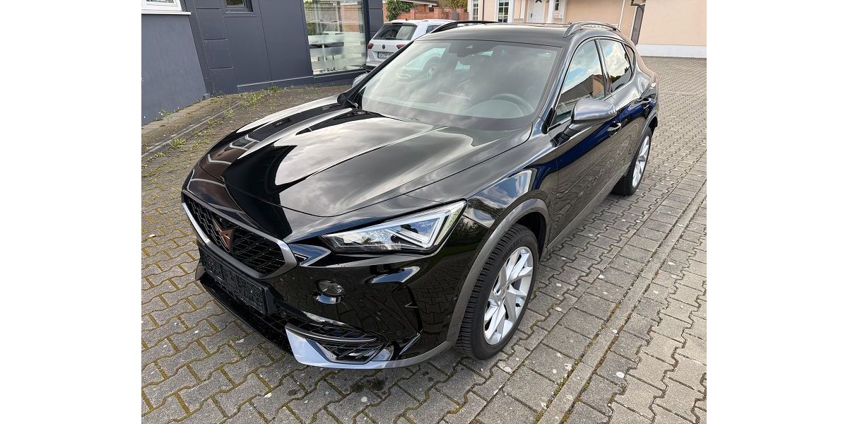 Cupra Formentor 13.000 km 27.990 &euro; Landau 76829