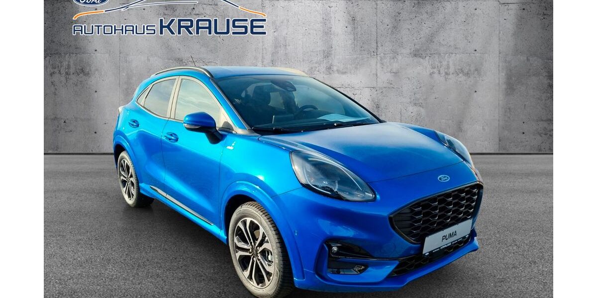 Ford Puma 10.000 km 24.290 € Machern 04827