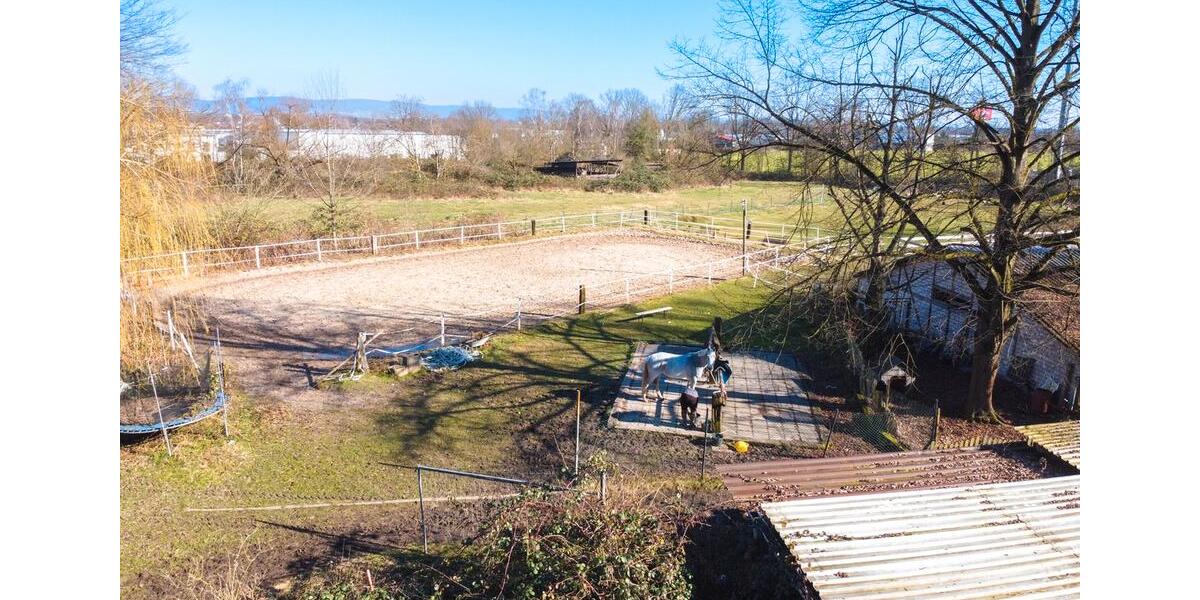 Gewerbeobjekt Seligenstadt - 1.300&euro; | Angebot:25431487