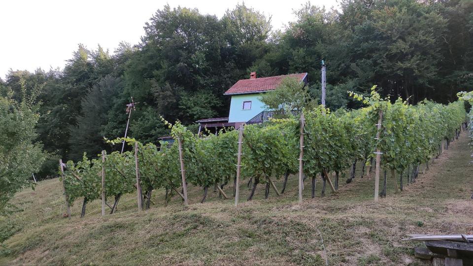 Einfamilienhaus Passau Mühltal - 59.700&euro; | Angebot:26953067