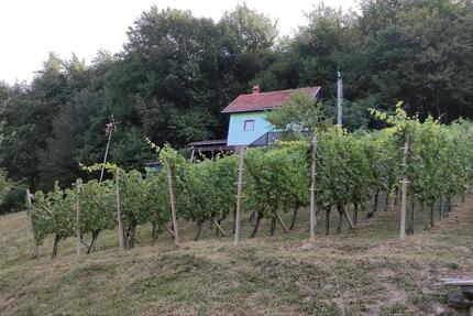 Haus Passau Mühltal - 59.700&euro; | Angebot:26953067