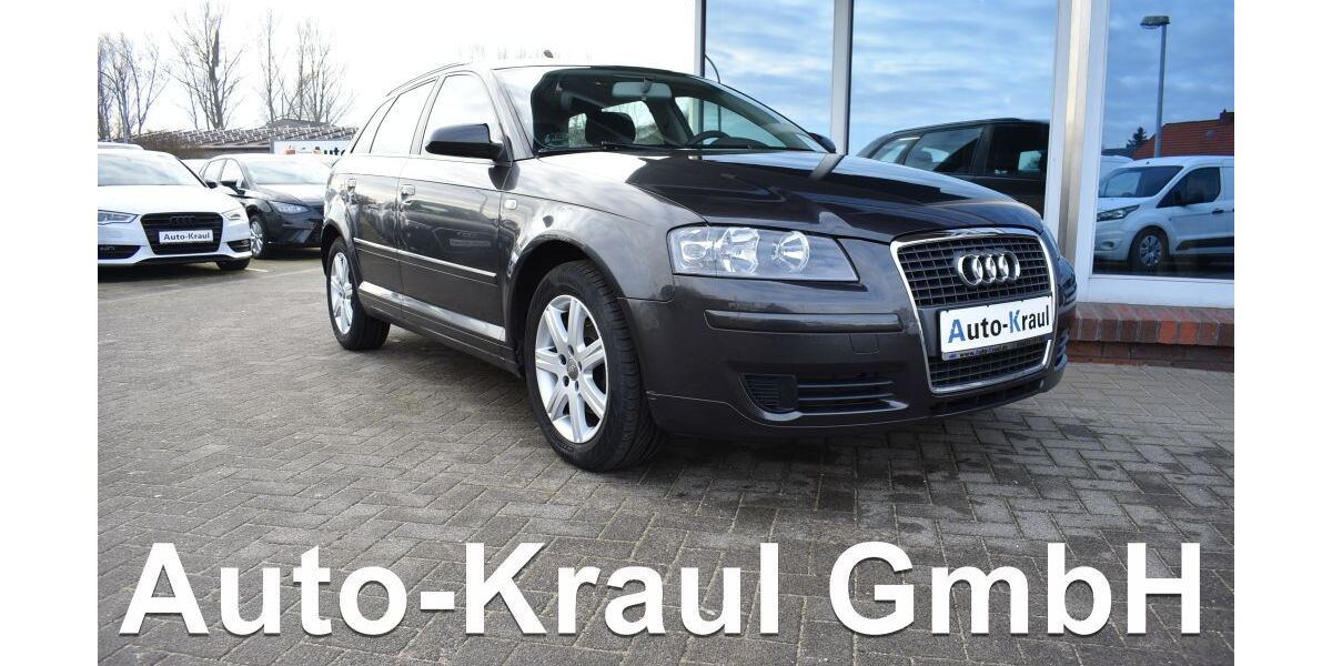 Audi A3 187.164 km 5.049 &euro; Rehna 19217