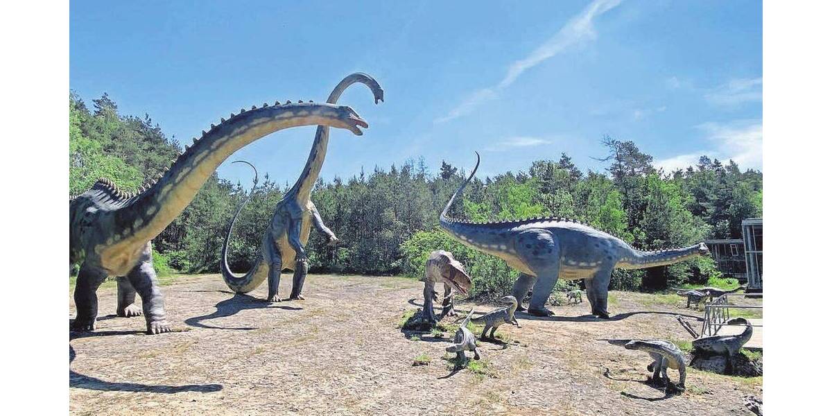 Etagenwohnung Rehburg-Loccum Loccum - 3 Zimmer, 68 m&sup2;, 148.000&euro; | Angebot:25938574