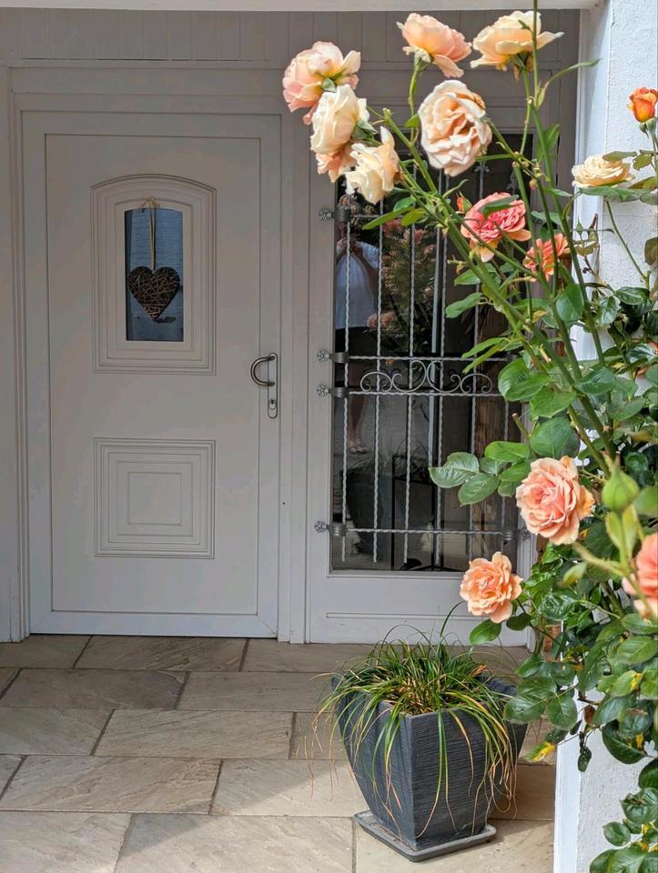 Verkaufe einzigartige 4-Zimmer-Fachwerk-Galeriewohnung zimmer