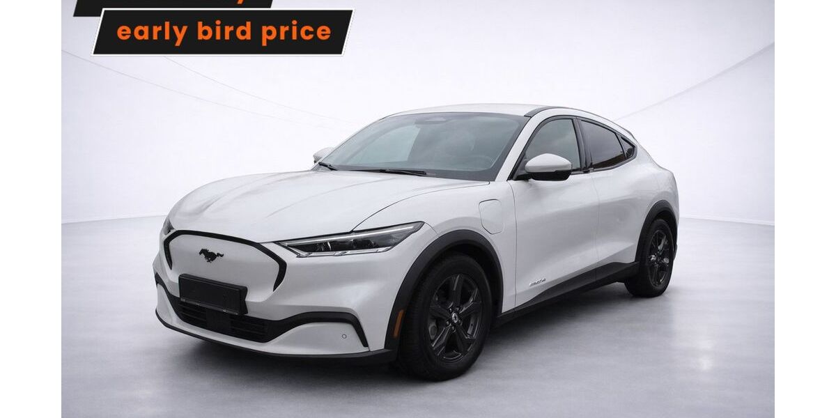 Ford Mustang Mach-E 167.299 km 22.296 &euro; Ergolding 84030