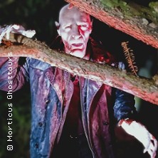 Nosferatus Auferstehung 18.04.2026 U-Bahn-Haltestelle Niddapark, Treppe nach unten