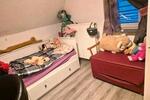 Mehrfamilienhaus, Wohnhaus Küstriner Vorland - 7 Zimmer, 209 m&sup2;, 165.000&euro; | Angebot:26867043