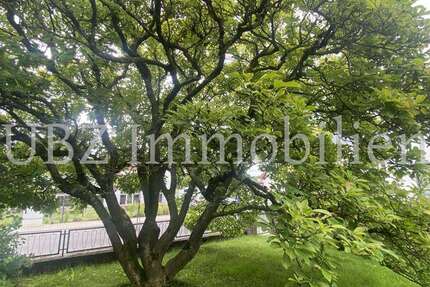 Grundstück zu verkaufen in Goldbach 214.000 € 340 m² zimmer