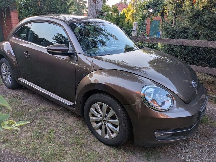 Beetle