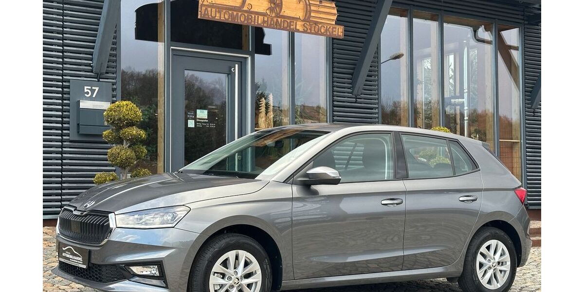 Skoda Fabia 2.880 km 18.888 &euro; Ehrenfriedersdorf 09427